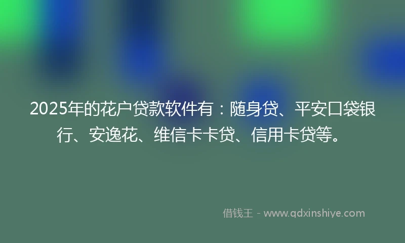 2025年的花户贷款软件有：随身贷、平安口袋银行、安逸花、维信卡卡贷、信用卡贷等。