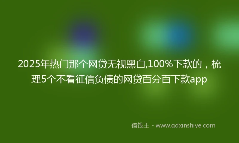 2025年热门那个网贷无视黑白,100%下款的，梳理5个不看征信负债的网贷百分百下款app
