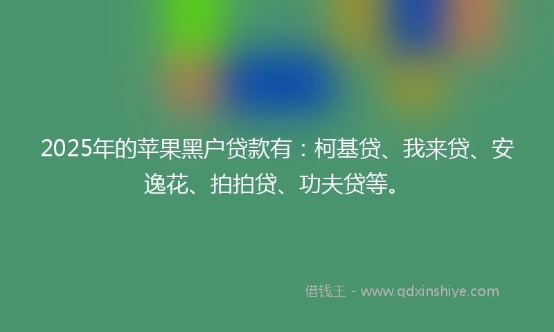 2025年的苹果黑户贷款有：柯基贷、我来贷、安逸花、拍拍贷、功夫贷等。