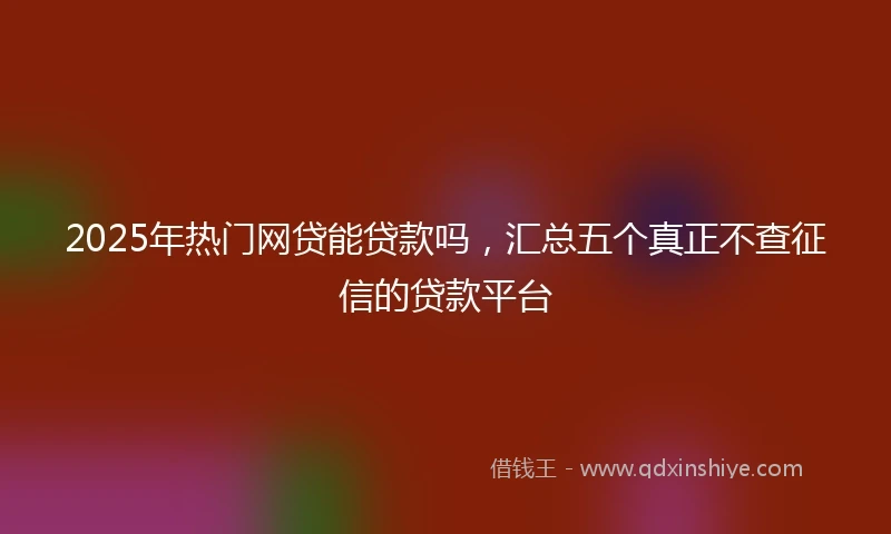 2025年热门网贷能贷款吗，汇总五个真正不查征信的贷款平台