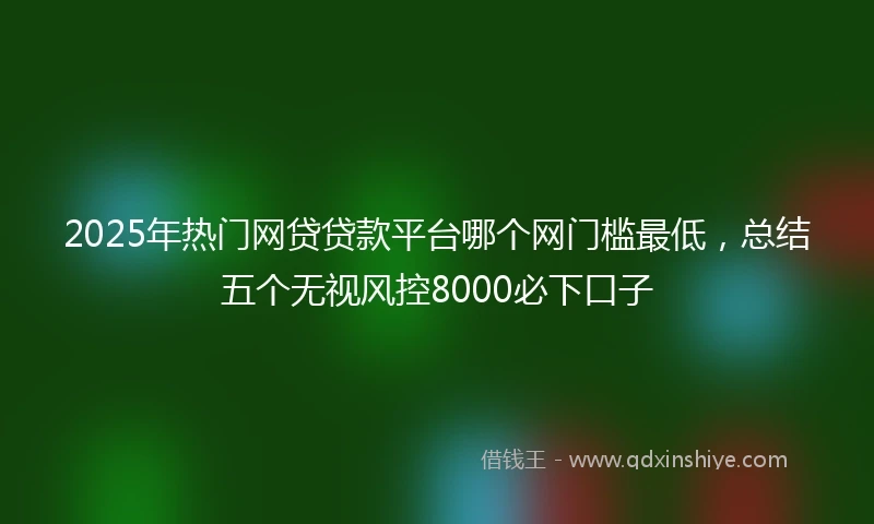 2025年热门网贷贷款平台哪个网门槛最低，总结五个无视风控8000必下口子