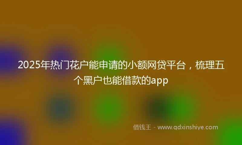 2025年热门花户能申请的小额网贷平台,梳理五个黑户也能借款的app