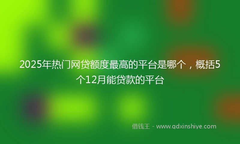 2025年热门网贷额度最高的平台是哪个，概括5个12月能贷款的平台