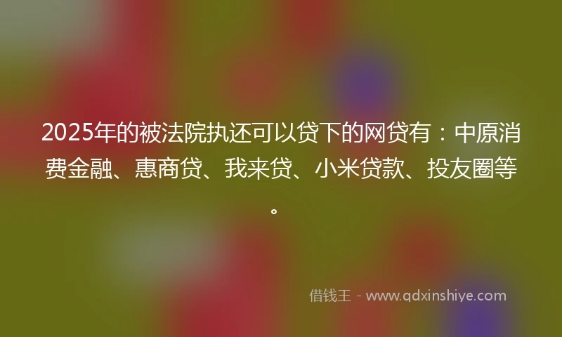 2025年的被法院执还可以贷下的网贷有：中原消费金融、惠商贷、我来贷、小米贷款、投友圈等。