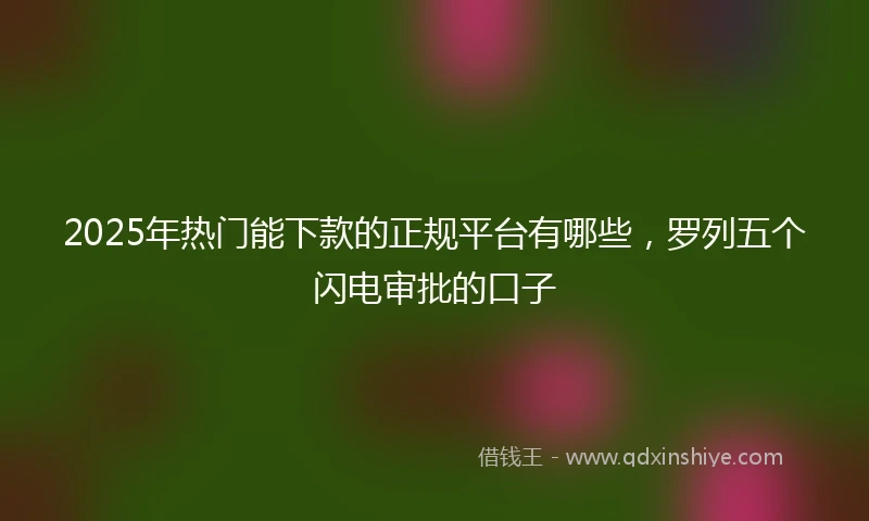 2025年热门能下款的正规平台有哪些，罗列五个闪电审批的口子
