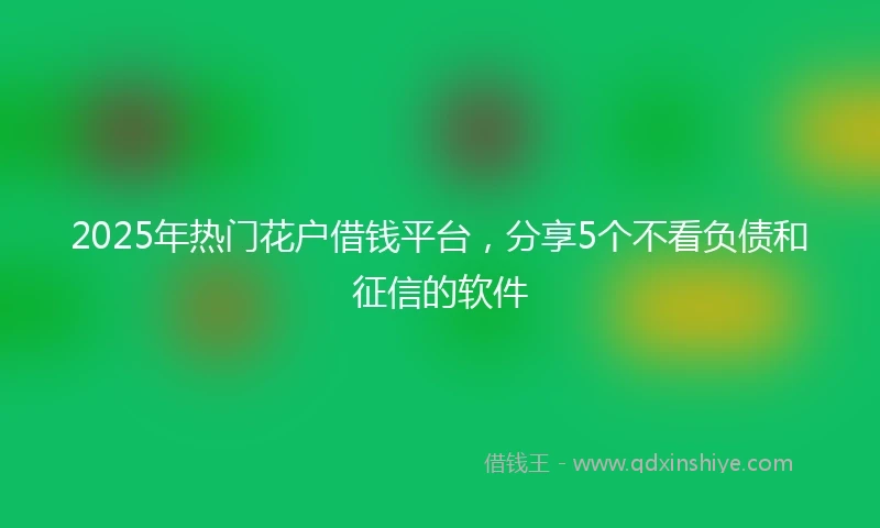 2025年热门花户借钱平台，分享5个不看负债和征信的软件