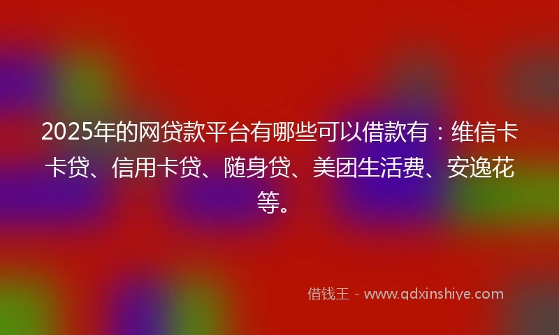 2025年的网贷款平台有哪些可以借款有：维信卡卡贷、信用卡贷、随身贷、美团生活费、安逸花等。