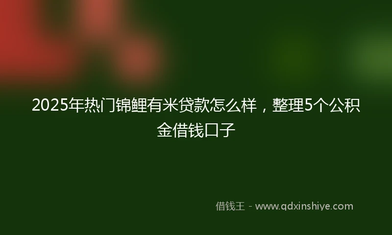 2025年热门锦鲤有米贷款怎么样，整理5个公积金借钱口子