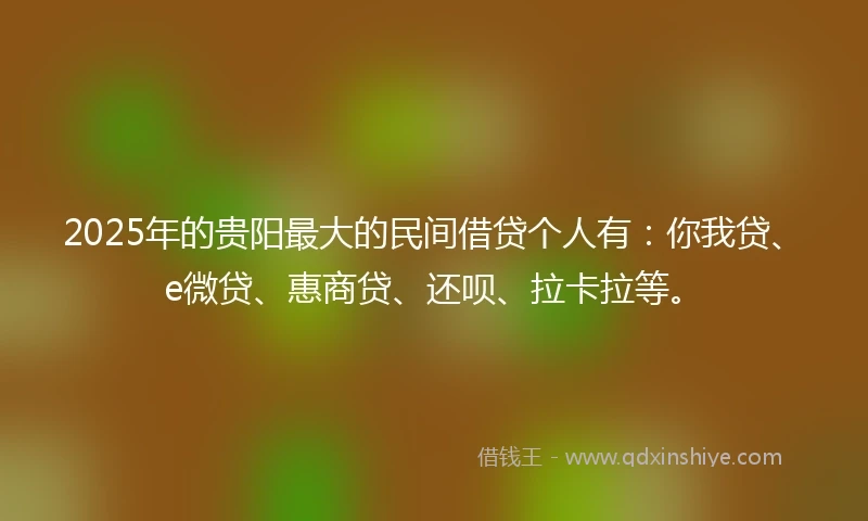 2025年的贵阳最大的民间借贷个人有：你我贷、e微贷、惠商贷、还呗、拉卡拉等。