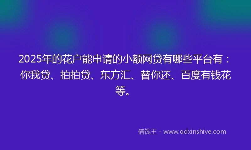 2025年的花户能申请的小额网贷有哪些平台有：你我贷、拍拍贷、东方汇、替你还、百度有钱花等。
