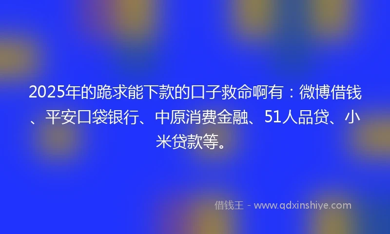 2025年的跪求能下款的口子救命啊有：微博借钱、平安口袋银行、中原消费金融、51人品贷、小米贷款等。