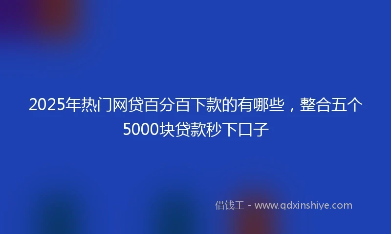 2025年热门网贷百分百下款的有哪些，整合五个5000块贷款秒下口子