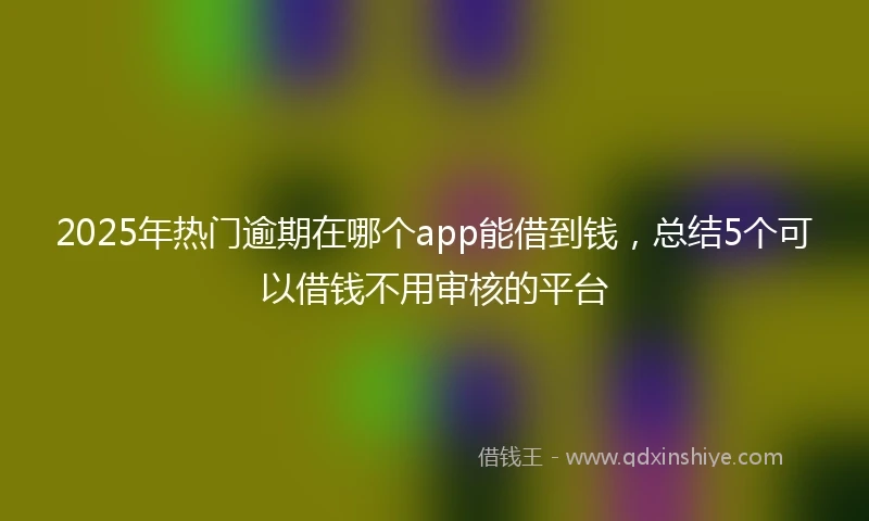 2025年热门逾期在哪个app能借到钱，总结5个可以借钱不用审核的平台