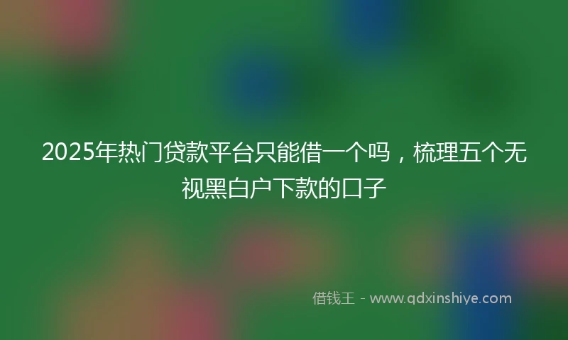 2025年热门贷款平台只能借一个吗，梳理五个无视黑白户下款的口子