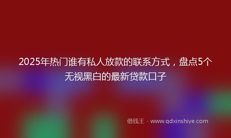 2025年热门谁有私人放款的联系方式，盘点5个无视黑白的最新贷款口子