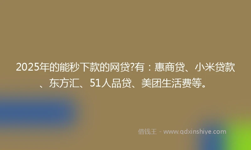 2025年的能秒下款的网贷?有：惠商贷、小米贷款、东方汇、51人品贷、美团生活费等。