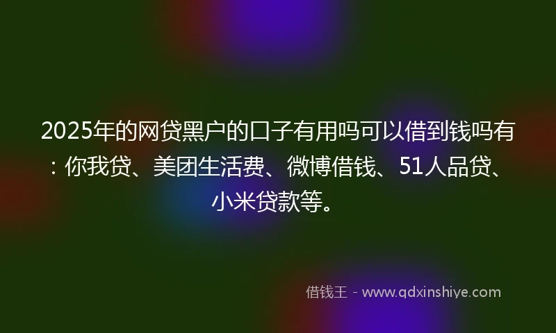 2025年的网贷黑户的口子有用吗可以借到钱吗有：你我贷、美团生活费、微博借钱、51人品贷、小米贷款等。