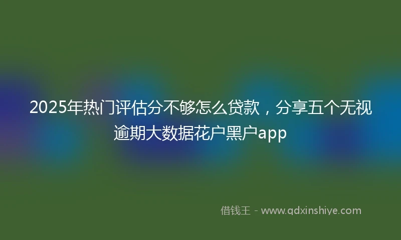 2025年热门评估分不够怎么贷款，分享五个无视逾期大数据花户黑户app