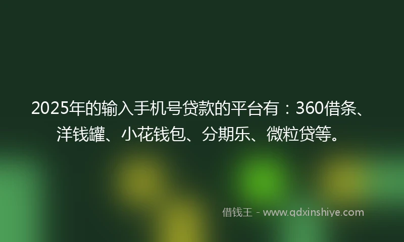 2025年的输入手机号贷款的平台有：360借条、洋钱罐、小花钱包、分期乐、微粒贷等。