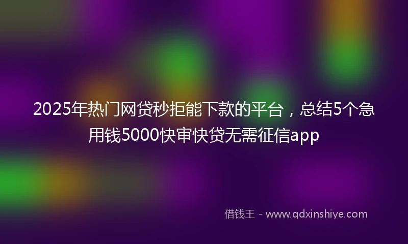 2025年热门网贷秒拒能下款的平台，总结5个急用钱5000快审快贷无需征信app