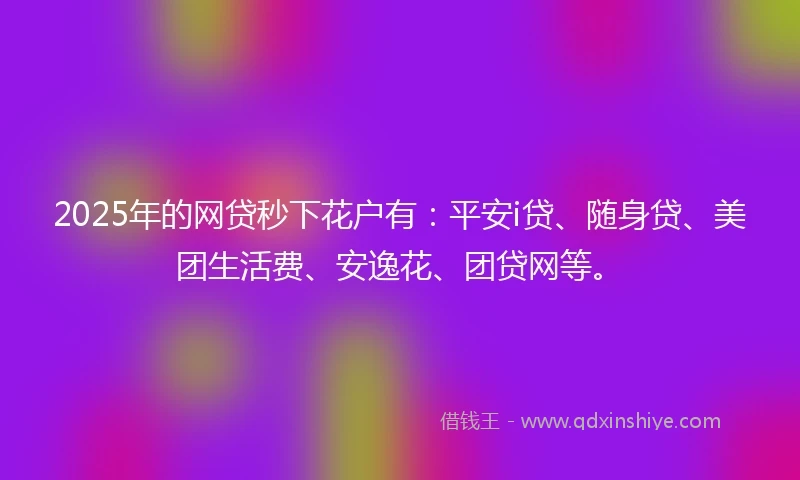 2025年的网贷秒下花户有：平安i贷、随身贷、美团生活费、安逸花、团贷网等。
