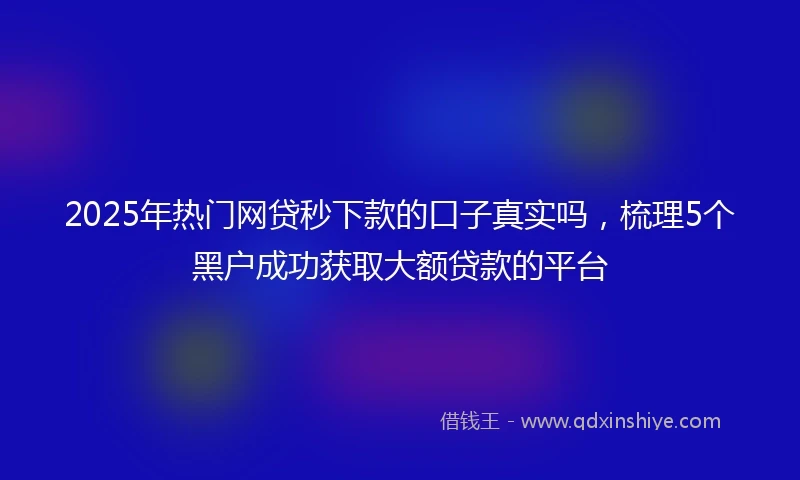 2025年热门网贷秒下款的口子真实吗，梳理5个黑户成功获取大额贷款的平台