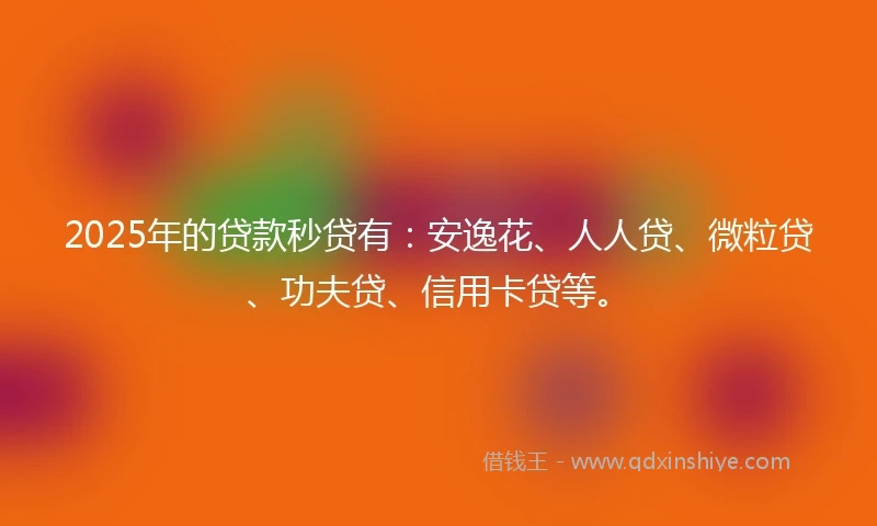 2025年的贷款秒贷有：安逸花、人人贷、微粒贷、功夫贷、信用卡贷等。