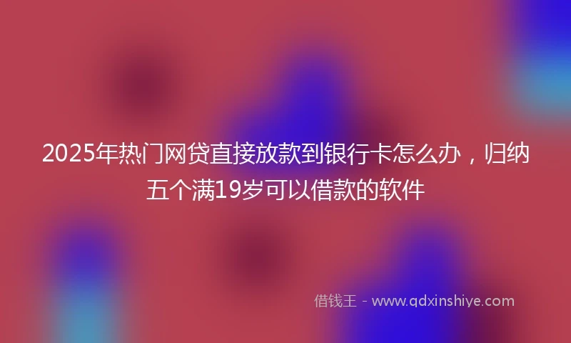 2025年热门网贷直接放款到银行卡怎么办，归纳五个满19岁可以借款的软件
