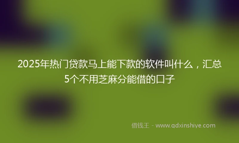 2025年热门贷款马上能下款的软件叫什么，汇总5个不用芝麻分能借的口子