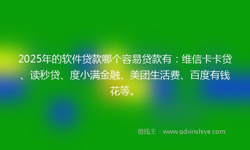 2025年的软件贷款哪个容易贷款有：维信卡卡贷、读秒贷、度小满金融、美团生活费、百度有钱花等。