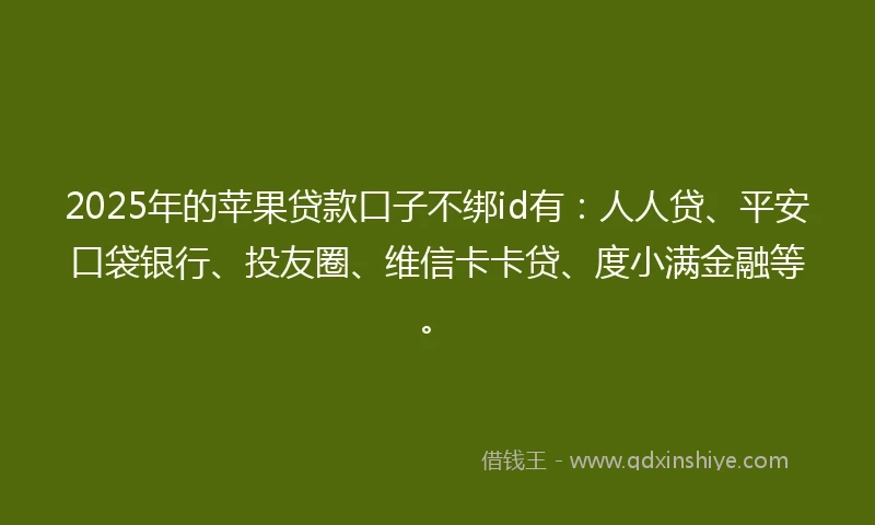 2025年的苹果贷款口子不绑id有：人人贷、平安口袋银行、投友圈、维信卡卡贷、度小满金融等。