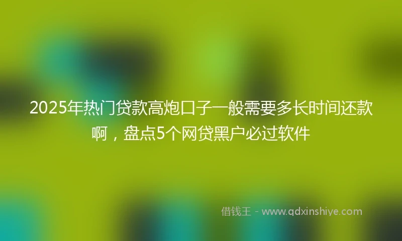 2025年热门贷款高炮口子一般需要多长时间还款啊，盘点5个网贷黑户必过软件