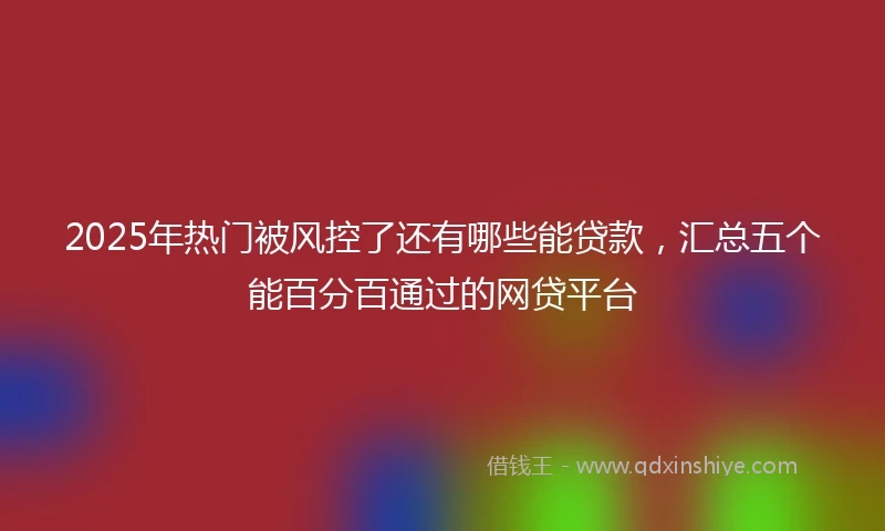 2025年热门被风控了还有哪些能贷款，汇总五个能百分百通过的网贷平台