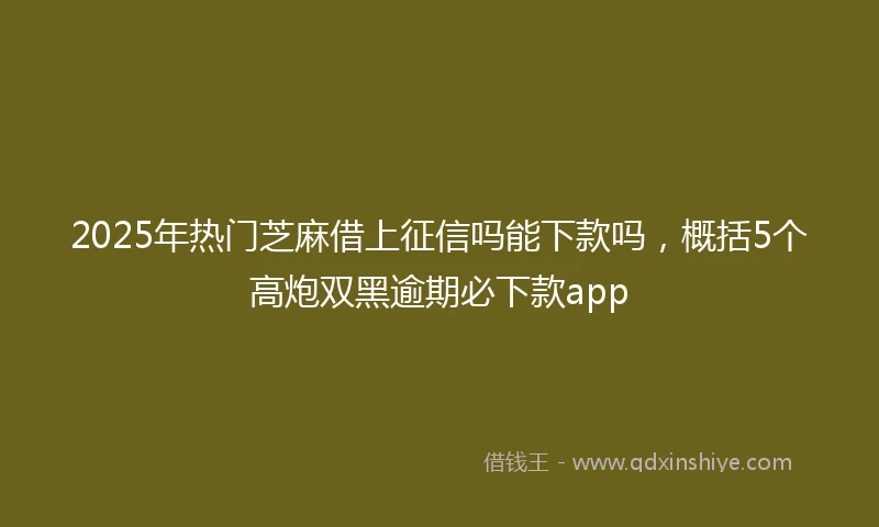 2025年热门芝麻借上征信吗能下款吗，概括5个高炮双黑逾期必下款app