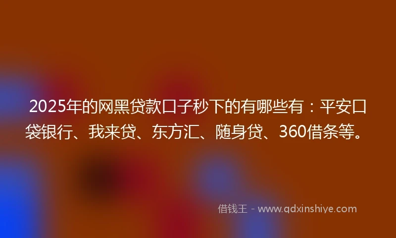 2025年的网黑贷款口子秒下的有哪些有：平安口袋银行、我来贷、东方汇、随身贷、360借条等。