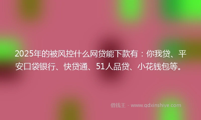 2025年的被风控什么网贷能下款有：你我贷、平安口袋银行、快贷通、51人品贷、小花钱包等。