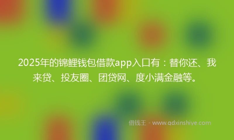 2025年的锦鲤钱包借款app入口有：替你还、我来贷、投友圈、团贷网、度小满金融等。