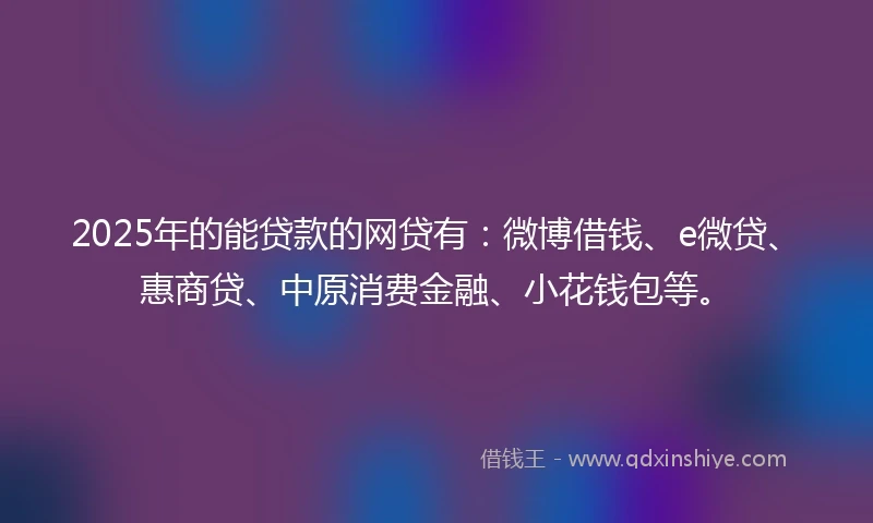 2025年的能贷款的网贷有：微博借钱、e微贷、惠商贷、中原消费金融、小花钱包等。