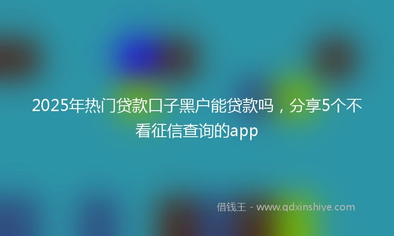2025年热门贷款口子黑户能贷款吗，分享5个不看征信查询的app