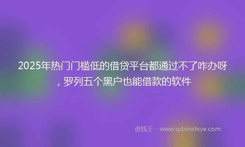 2025年热门门槛低的借贷平台都通过不了咋办呀，罗列五个黑户也能借款的软件