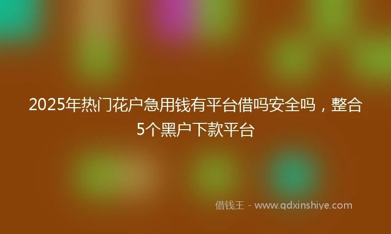 2025年热门花户急用钱有平台借吗安全吗，整合5个黑户下款平台