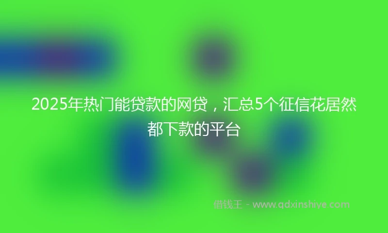 2025年热门能贷款的网贷，汇总5个征信花居然都下款的平台