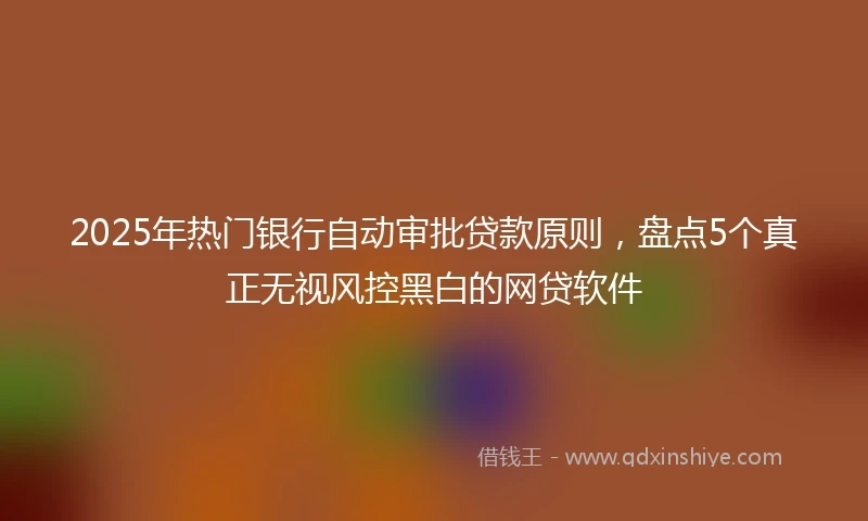 2025年热门银行自动审批贷款原则，盘点5个真正无视风控黑白的网贷软件
