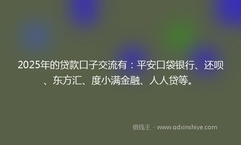 2025年的贷款口子交流有：平安口袋银行、还呗、东方汇、度小满金融、人人贷等。