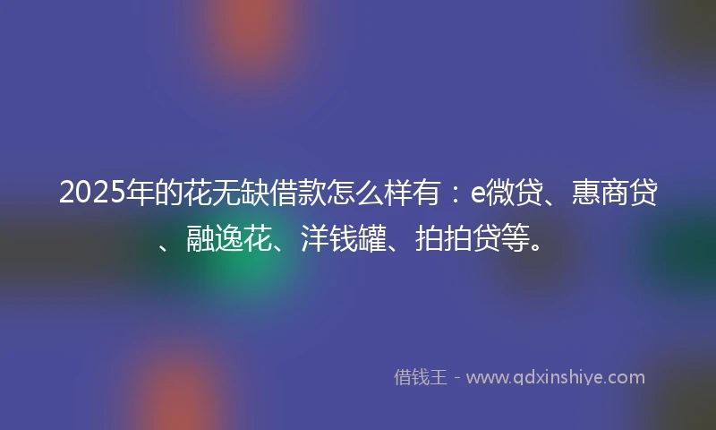 2025年的花无缺借款怎么样有：e微贷、惠商贷、融逸花、洋钱罐、拍拍贷等。
