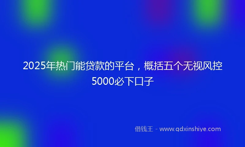 2025年热门能贷款的平台，概括五个无视风控5000必下口子
