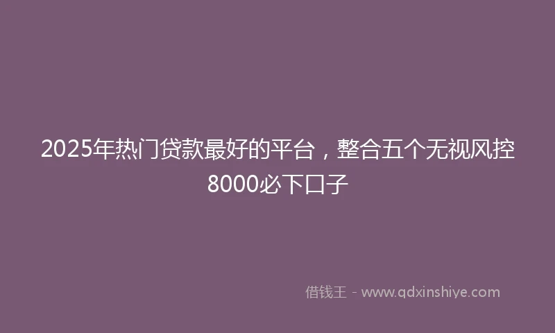 2025年热门贷款最好的平台，整合五个无视风控8000必下口子