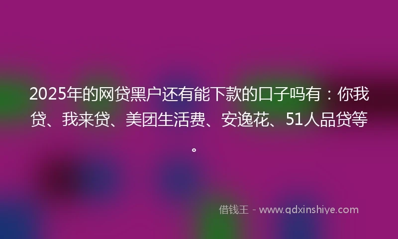 2025年的网贷黑户还有能下款的口子吗有：你我贷、我来贷、美团生活费、安逸花、51人品贷等。