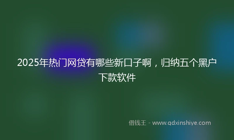 2025年热门网贷有哪些新口子啊，归纳五个黑户下款软件