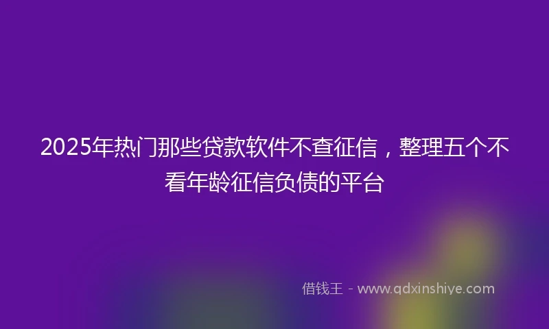 2025年热门那些贷款软件不查征信，整理五个不看年龄征信负债的平台
